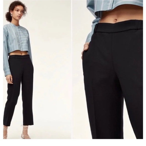 Wilfred Pants - Wilfred Aritzia Darontal Pull-On Pant, Size 2